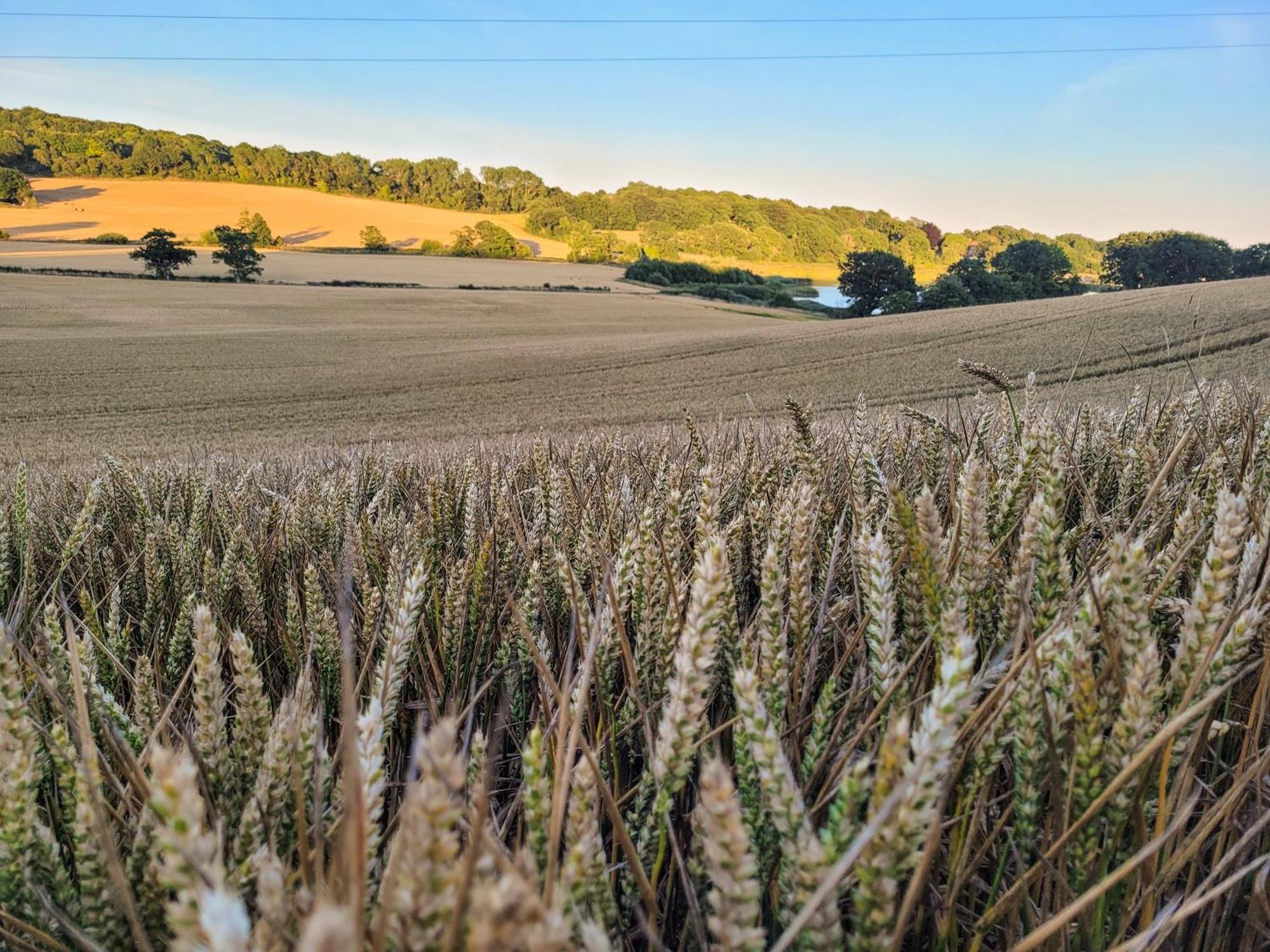 Hayfield Haven-Uk40691 Villa Crowhurst  Luaran gambar